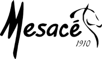 Mesace Logo