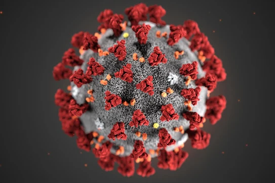 COVID-19 cell pictured