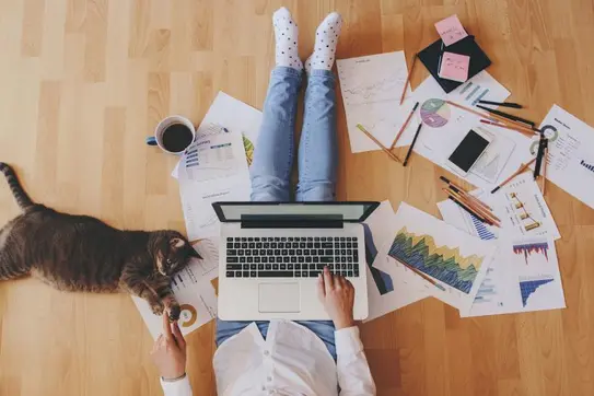 Job Autonomy Can Be a Double-Edged Sword