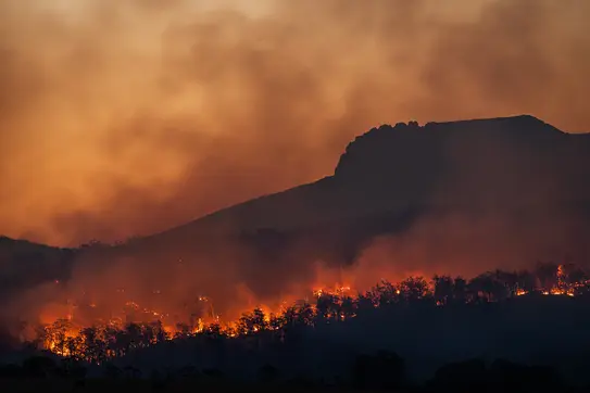 The Climate Crisis is Real…and Escalating. CBS Experts Weigh in on What We – and Business – Can Do About It