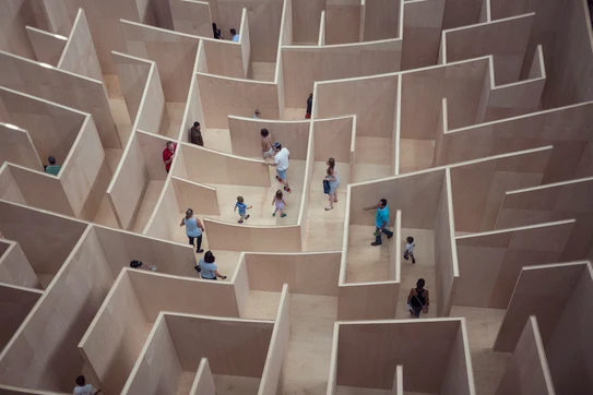 people in a maze