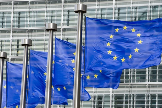 The Brussels Effect on Sustainable Finance