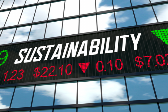 What's Still Misunderstood About Carbon Markets: Q&A with Professor Bruce Usher