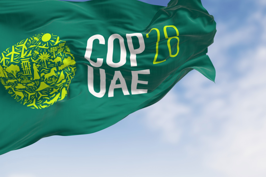 How to Assess the Outcome of COP28