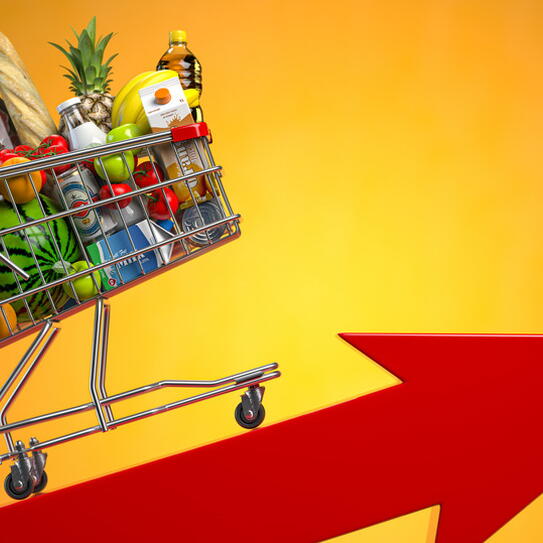 A Balanced Response to Inflation