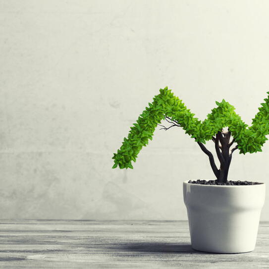 Is Stakeholder Capitalism Really Back?